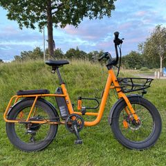 Electric Bike