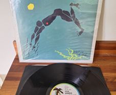 Steve Winwood - Arc of a Diver