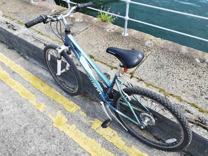 Mountain Bike (Step through)