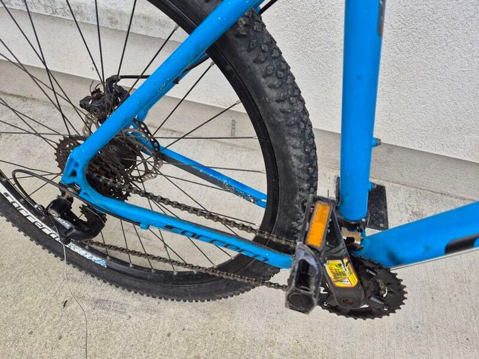 Carerra bike