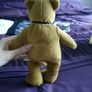 Germany Bear Image 6