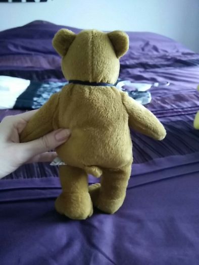 Germany Bear