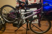 Emmelle Saphire 12 Speed Girls Mountain Bike