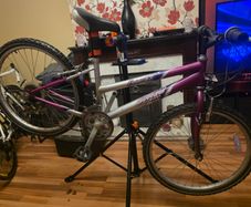 Emmelle Saphire 12 Speed Girls Mountain Bike