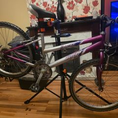 Emmelle Saphire 12 Speed Girls Mountain Bike