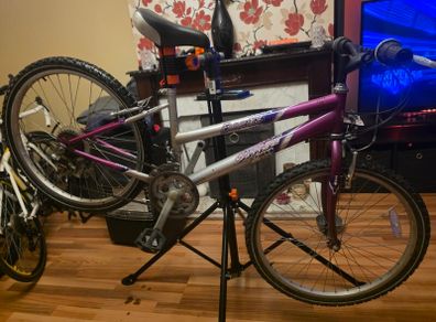 Emmelle Saphire 12 Speed Girls Mountain Bike