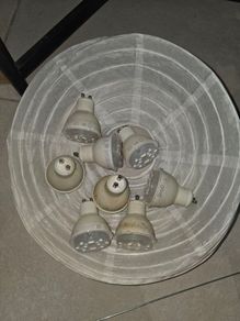bulb