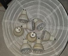 bulb