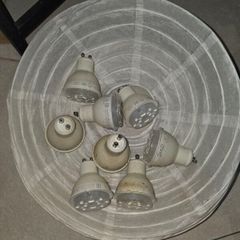 bulb