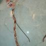 Claires cat ears hairband x 2 Image 4