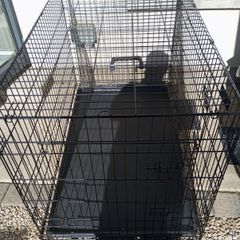 extra large dog travel crate
