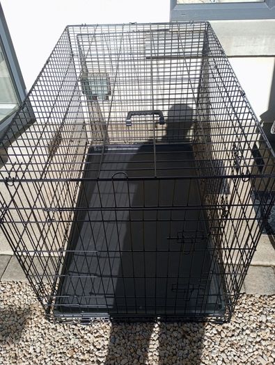 extra large dog travel crate
