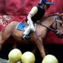 ornament on horse Image 3