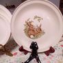 Carrigaline Wildlife Plates Image 7