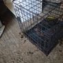 Animal Crate Image 3