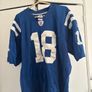 NFL Vintage Colts Indianapolis Payton Manning Jersey Size 50 and Colts Mens Beanie One Size Image 3