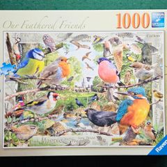 Jigsaw Puzzle Ravensburger Falcon Bundle of 16