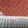 Lovely new wool axminster carpet from Arnotts Image 9
