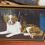 Retro Rug Plan Framed Picture Image 5