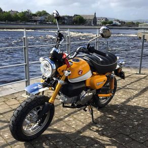 Honda Monkey 125 - Banana Yellow