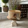 New leather Zara home rigid 21cm x 12cm basket with leather handle Image 9