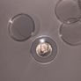 Coin Capsules Protective Cases for Bullion & Collectible Coins Image 3