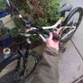 Giant Reign Sx Image 2