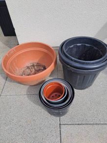 Free garden plastic pots.