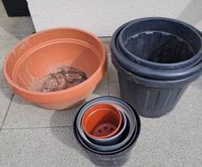 Free garden plastic pots.