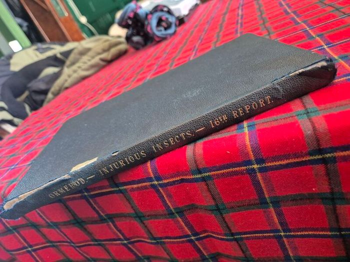 Injurious insects by Ormerod 16th report original Antique book
