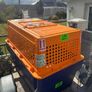 dog crate Image 3