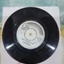 Showaddywaddy Under The Moon Of Love Image 2