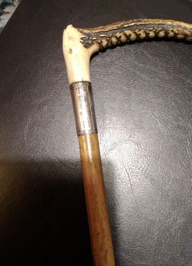 Horse   Cane