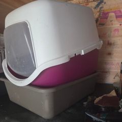 cat carrier, litter box and litter tray