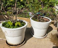 pots