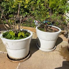 pots
