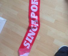 Singapore scarf brand new