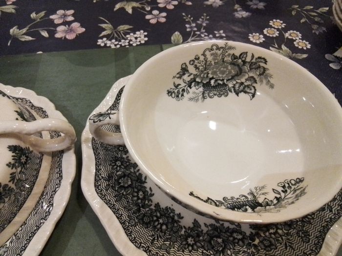 Two Mason's Ascot Soup Coup & Saucer