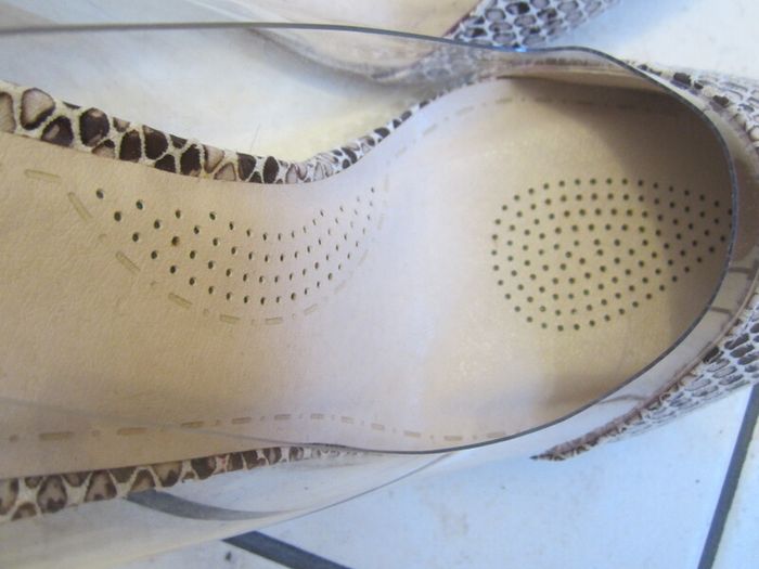 REPTILE colour    size 7