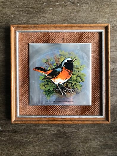 Set of 5 Vintage Wooden Framed Bird Pictures
