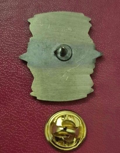 Irish military 1916/2016 commerative badge.