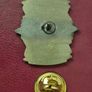 Irish military 1916/2016 commerative badge. Image 2