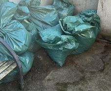horse manure fresh