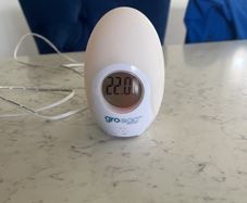 Gro Egg - Room Temperature