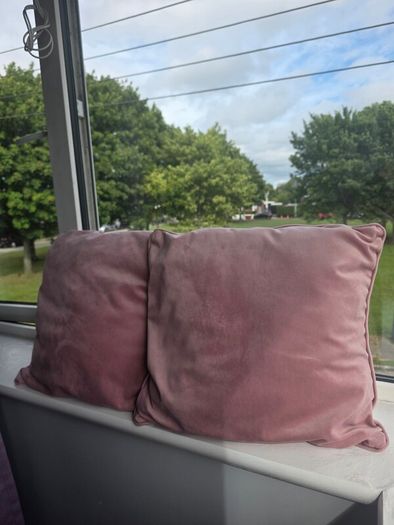 Cute Pillows
