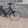 Adults Bike Image 2