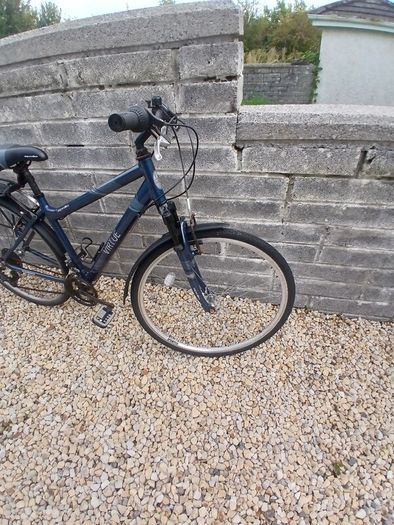 Adults Bike