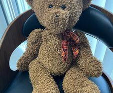 vintage teddy bear