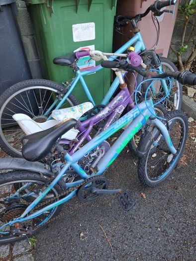Bikes free