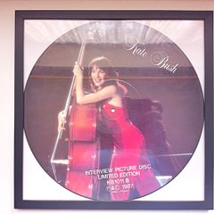 Framed Kate Bush Interview Pic Disc